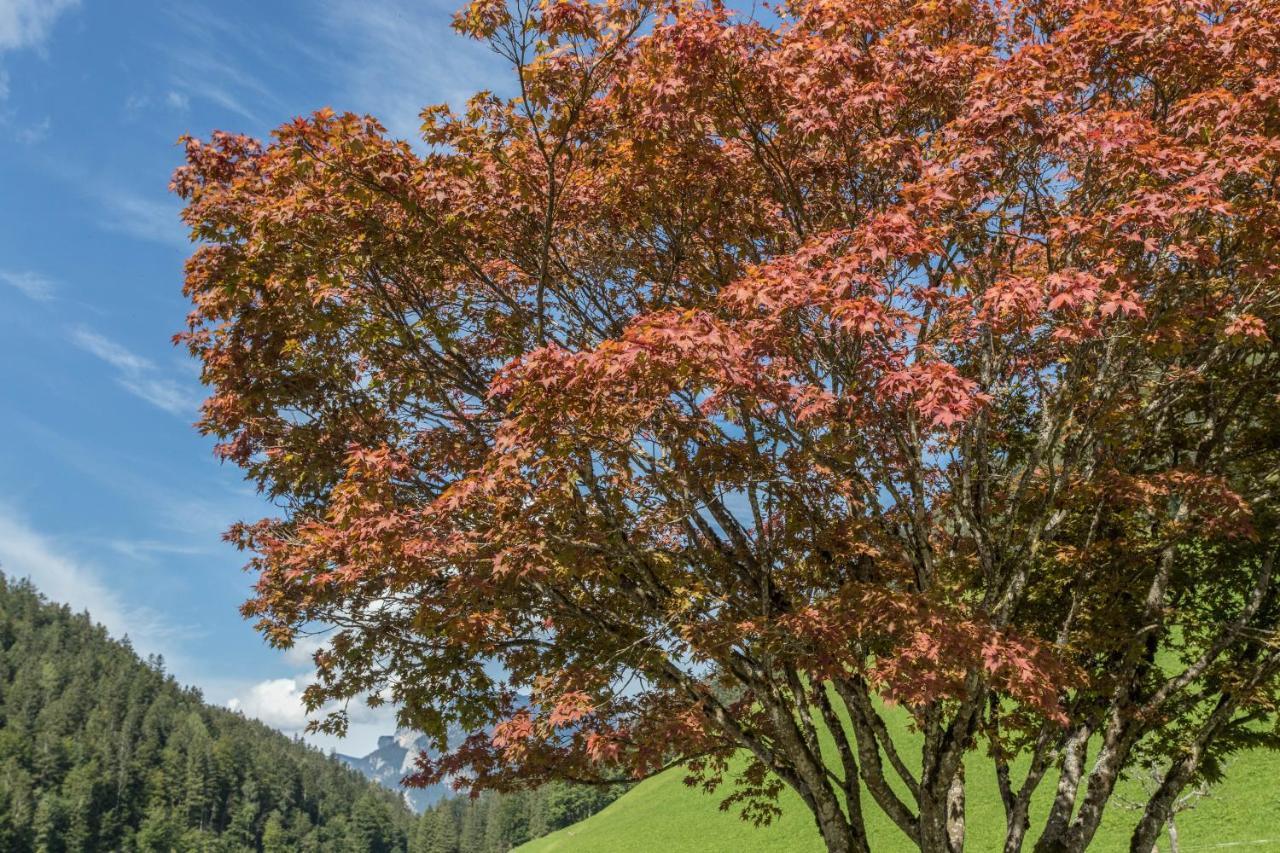 Ferienwohnung Weissbacher ザンクト・マルティン・バイ・ローファー エクステリア 写真